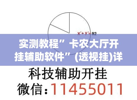 实测教程”卡农大厅开挂辅助软件”(透视挂)详细使用教程