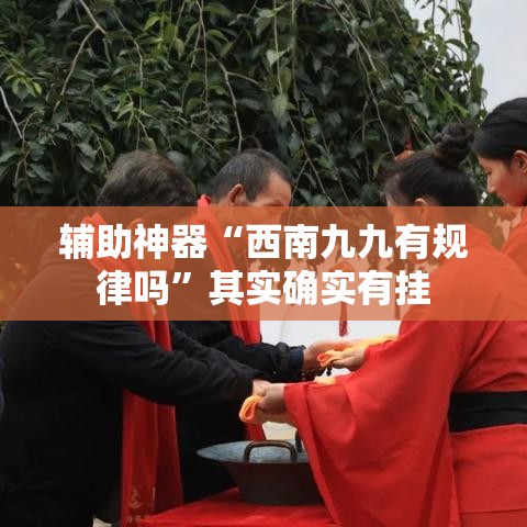 辅助神器“西南九九有规律吗”其实确实有挂