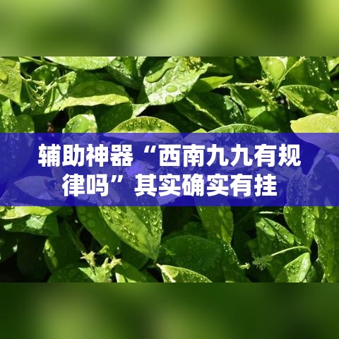 辅助神器“西南九九有规律吗”其实确实有挂