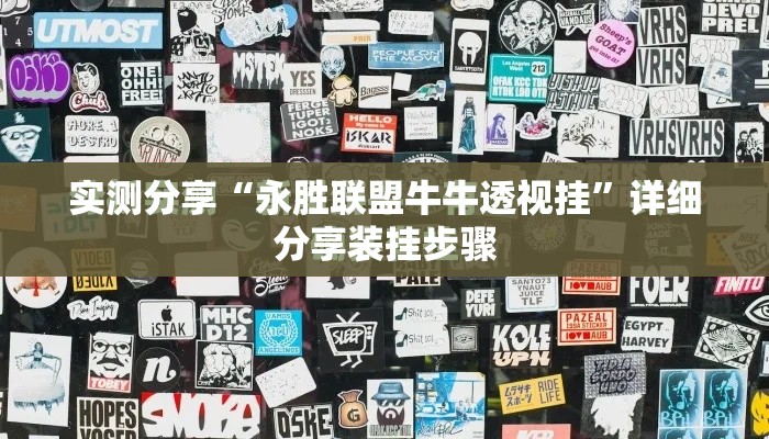 实测分享“永胜联盟牛牛透视挂”详细分享装挂步骤