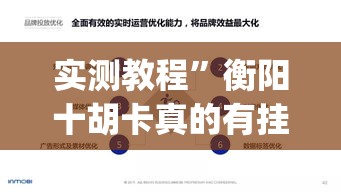 实测教程	”衡阳十胡卡真的有挂吗”(作弊)辅助透视教程