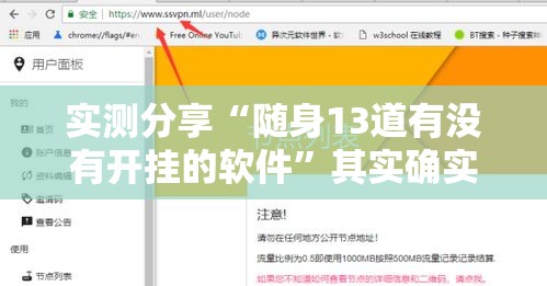 实测分享“随身13道有没有开挂的软件”其实确实有挂