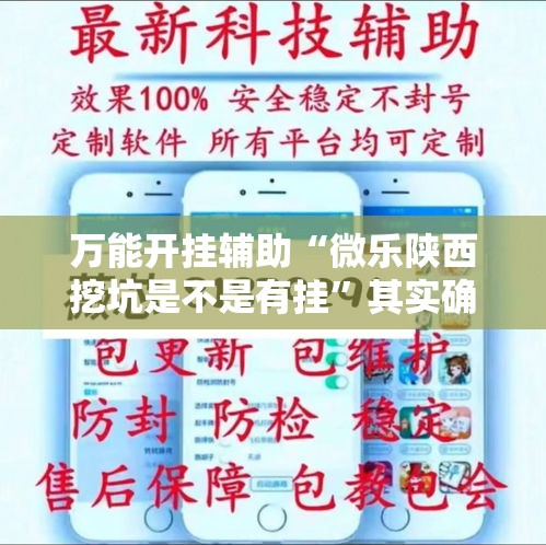 万能开挂辅助“微乐陕西挖坑是不是有挂”其实确实有挂