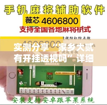 实测分享“家乡大贰有开挂透视吗”详细分享装挂步骤