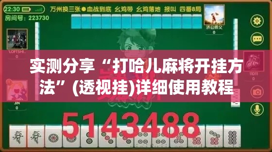 实测分享“打哈儿麻将开挂方法”(透视挂)详细使用教程