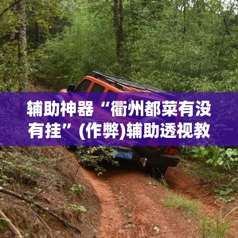 辅助神器“衢州都菜有没有挂	”(作弊)辅助透视教程