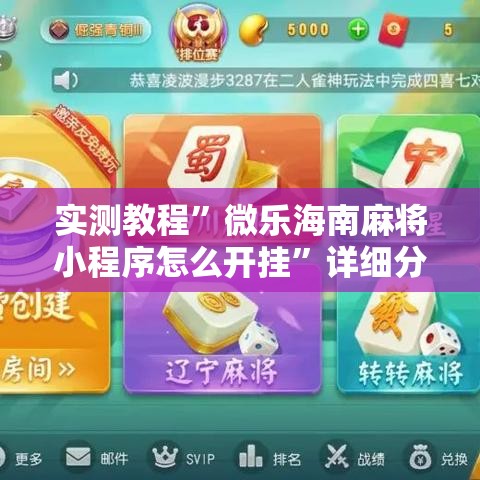 实测教程”微乐海南麻将小程序怎么开挂”详细分享装挂步骤