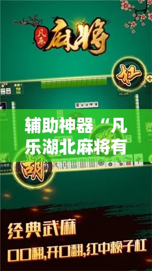 辅助神器“凡乐湖北麻将有没有挂”详细分享装挂步骤