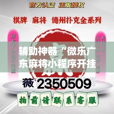 辅助神器“微乐广东麻将小程序开挂神器”(作弊)辅助透视教程
