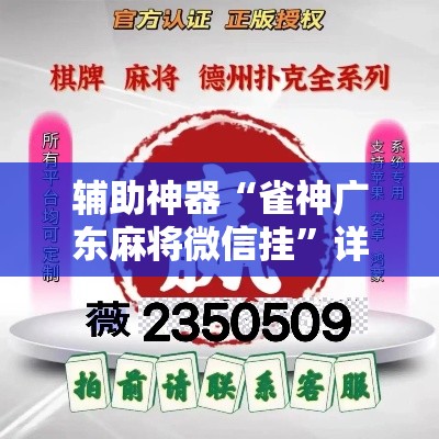 辅助神器“雀神广东麻将微信挂	”详细分享装挂步骤