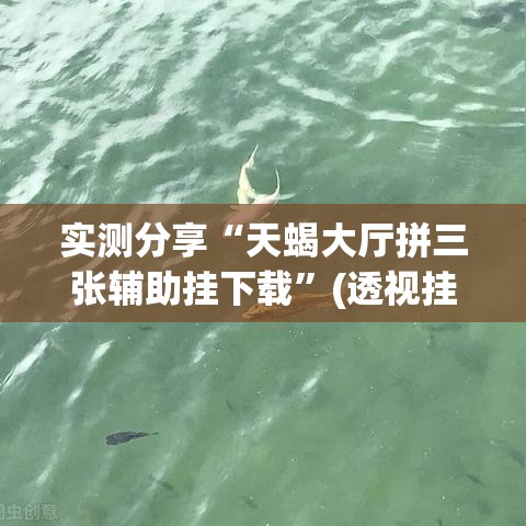 实测分享“天蝎大厅拼三张辅助挂下载	”(透视挂)详细使用教程