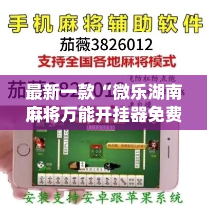 最新一款“微乐湖南麻将万能开挂器免费”(透视挂)详细使用教程