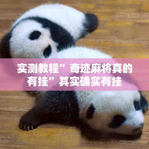 实测教程”奇迹麻将真的有挂	”其实确实有挂
