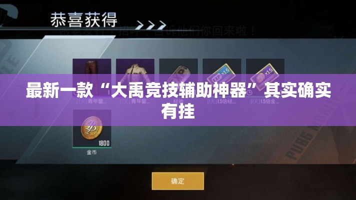 最新一款“大禹竞技辅助神器	”其实确实有挂