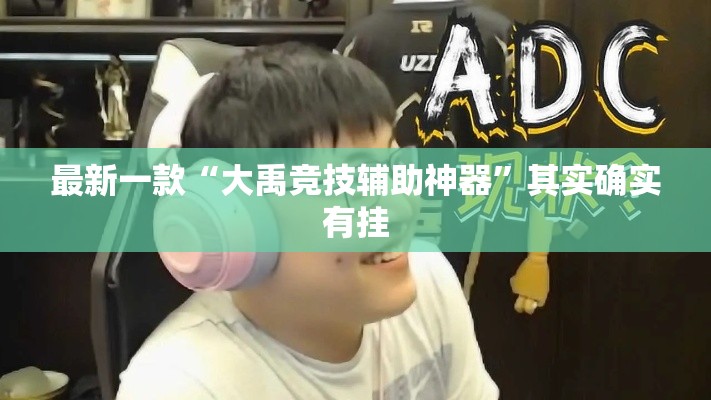 最新一款“大禹竞技辅助神器”其实确实有挂