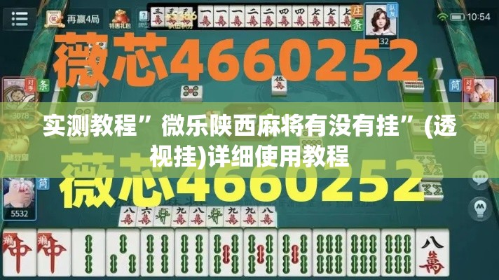 实测教程	”微乐陕西麻将有没有挂”(透视挂)详细使用教程