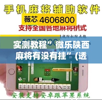 实测教程”微乐陕西麻将有没有挂”(透视挂)详细使用教程