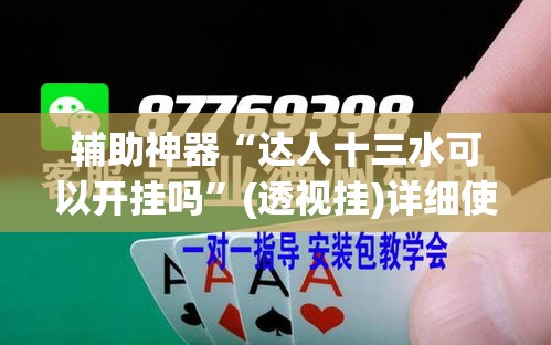 辅助神器“达人十三水可以开挂吗”(透视挂)详细使用教程