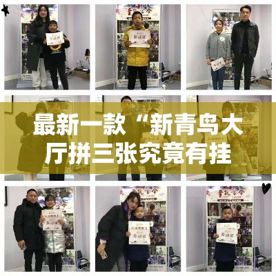 最新一款“新青鸟大厅拼三张究竟有挂吗”详细分享装挂步骤