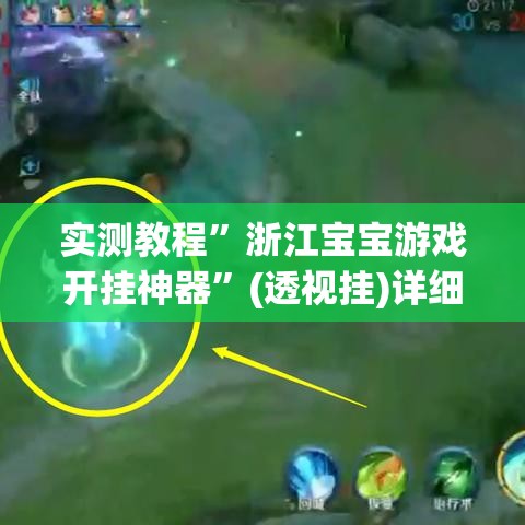 实测教程”浙江宝宝游戏开挂神器”(透视挂)详细使用教程