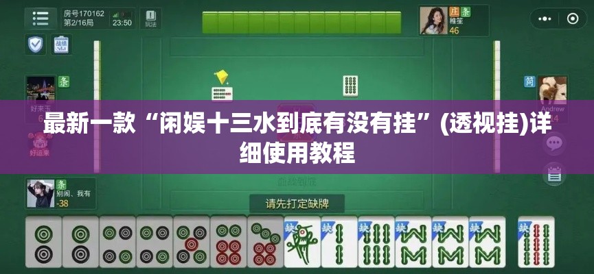 最新一款“闲娱十三水到底有没有挂”(透视挂)详细使用教程