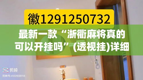 最新一款“浙衢麻将真的可以开挂吗”(透视挂)详细使用教程