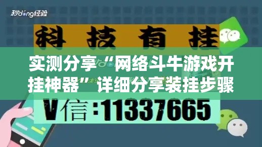 实测分享“网络斗牛游戏开挂神器”详细分享装挂步骤