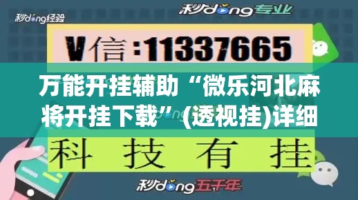 万能开挂辅助“微乐河北麻将开挂下载	”(透视挂)详细使用教程