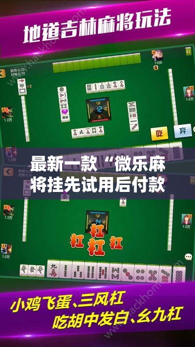 最新一款“微乐麻将挂先试用后付款”其实确实有挂