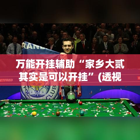 万能开挂辅助“家乡大贰其实是可以开挂	”(透视挂)详细使用教程