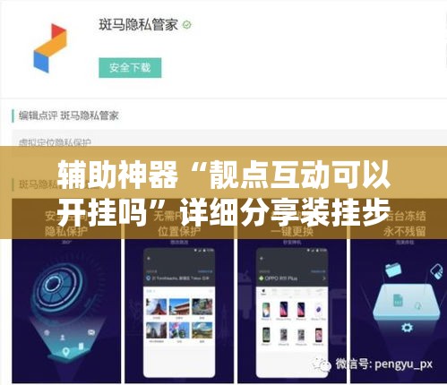 辅助神器“靓点互动可以开挂吗”详细分享装挂步骤