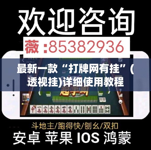 最新一款“打牌网有挂”(透视挂)详细使用教程