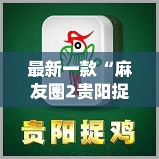 最新一款“麻友圈2贵阳捉鸡麻将外卦”(透视挂)详细使用教程