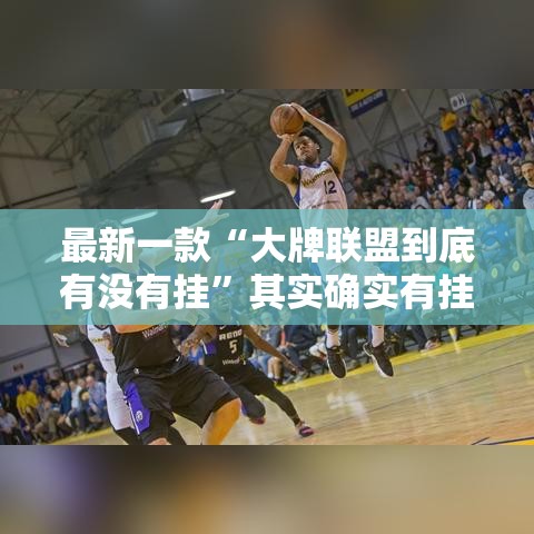 最新一款“大牌联盟到底有没有挂”其实确实有挂