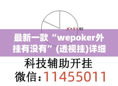 最新一款“wepoker外挂有没有	”(透视挂)详细使用教程