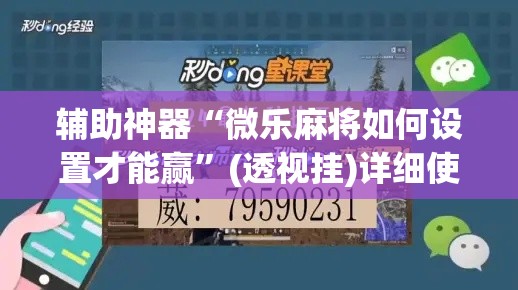 辅助神器“微乐麻将如何设置才能赢”(透视挂)详细使用教程