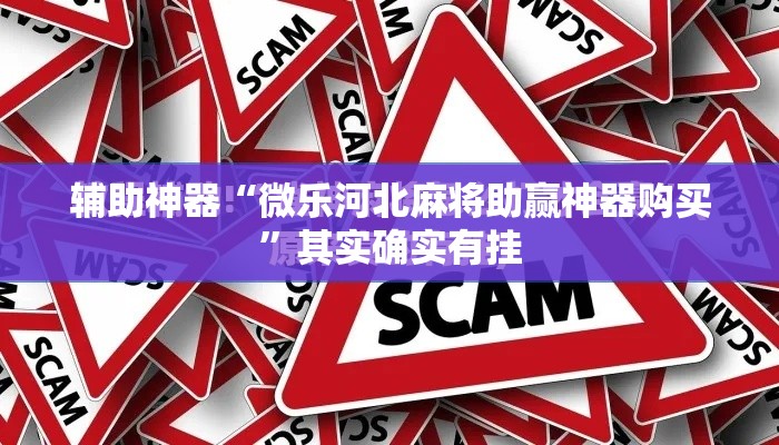辅助神器“微乐河北麻将助赢神器购买”其实确实有挂