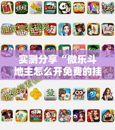 实测分享“微乐斗地主怎么开免费的挂”详细分享装挂步骤