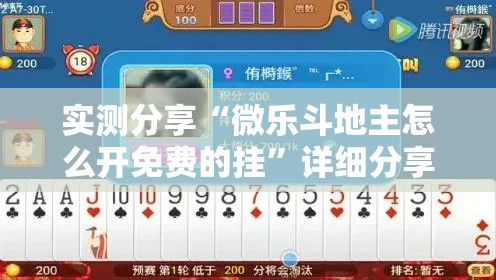 实测分享“微乐斗地主怎么开免费的挂”详细分享装挂步骤