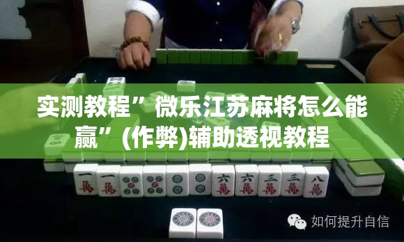 实测教程”微乐江苏麻将怎么能赢”(作弊)辅助透视教程
