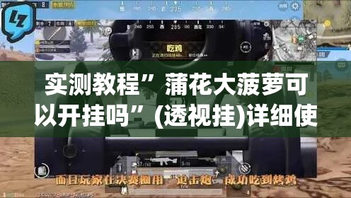 实测教程”蒲花大菠萝可以开挂吗”(透视挂)详细使用教程
