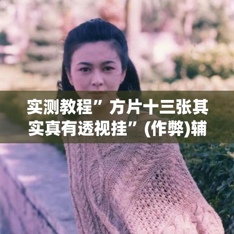 实测教程	”方片十三张其实真有透视挂”(作弊)辅助透视教程