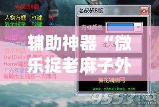 辅助神器“微乐捉老麻子外卦神器下载安装”(作弊)辅助透视教程