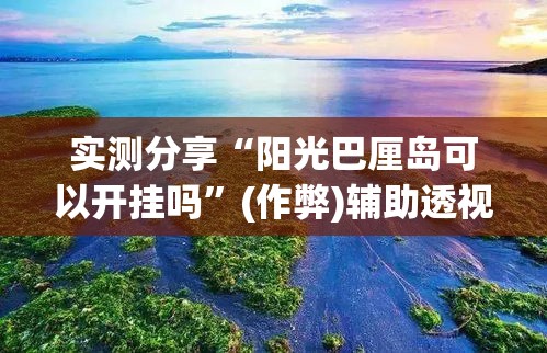 实测分享“阳光巴厘岛可以开挂吗”(作弊)辅助透视教程