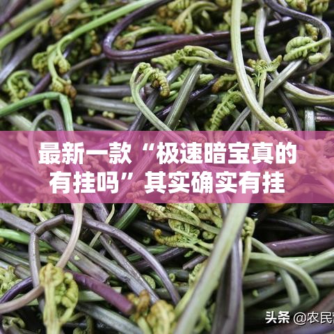 最新一款“极速暗宝真的有挂吗”其实确实有挂