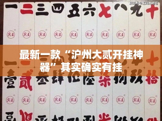 最新一款“沪州大贰开挂神器”其实确实有挂