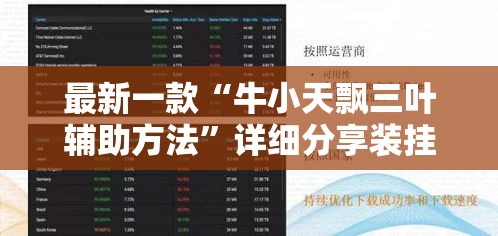 最新一款“牛小天飘三叶辅助方法	”详细分享装挂步骤