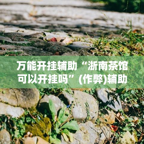万能开挂辅助“浙南茶馆可以开挂吗	”(作弊)辅助透视教程