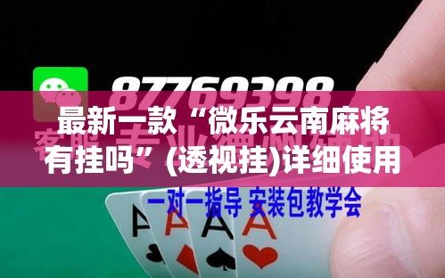 最新一款“微乐云南麻将有挂吗”(透视挂)详细使用教程