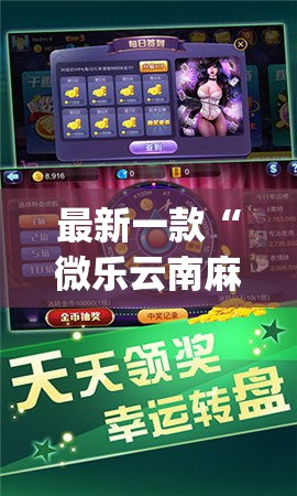 最新一款“微乐云南麻将有挂吗”(透视挂)详细使用教程